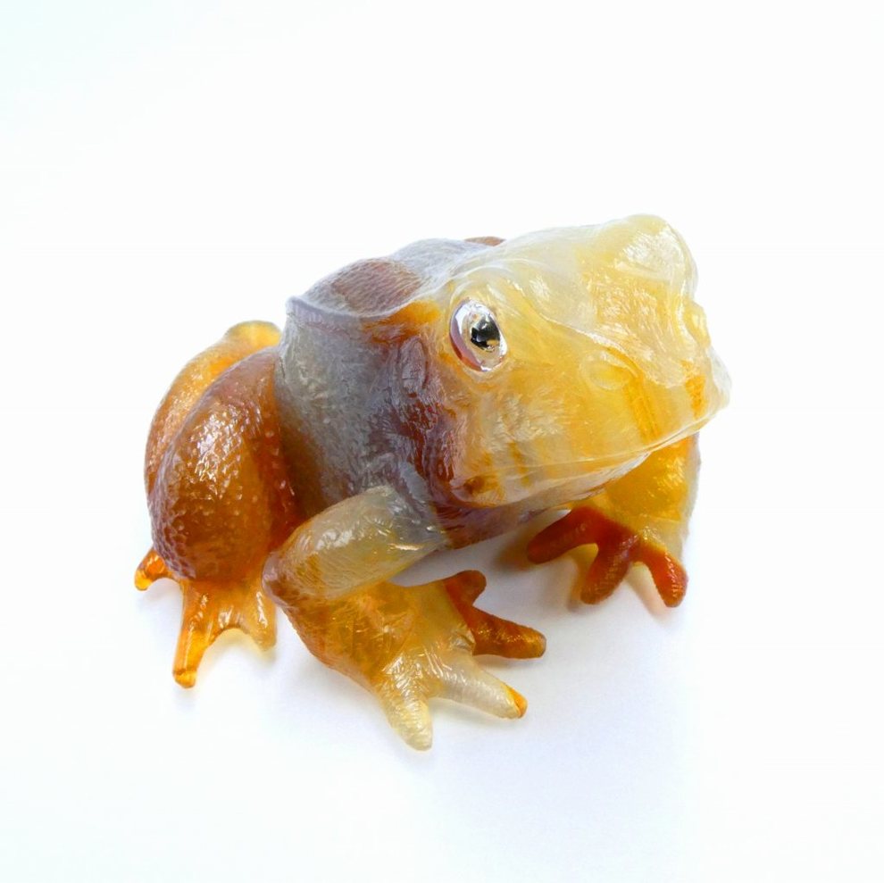 鉱物 化石の京都ぎおん石